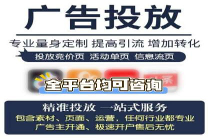 行业领先企业的SEM广告投放策略案例